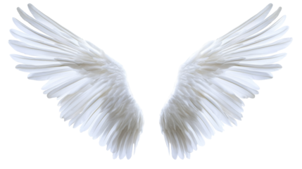 Elegant white angel wings transparency background png ethereal design digital artwork clear view fantasy concept