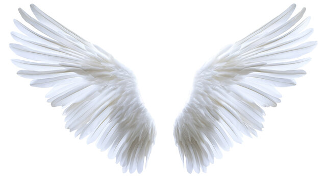 Elegant white angel wings transparency background png ethereal design digital artwork clear view fantasy concept