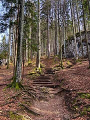 Forest path with steps leading up Riederstein at Lake Tegernsee, Bavaria, Germany.