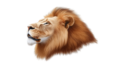Majestic lion head portrait, a closeup of the king of the jungle in all its glory