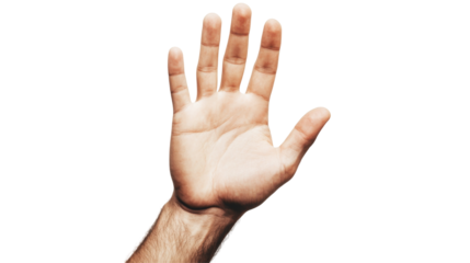 Hand gesture png transparent background white environment creative concept dynamic action