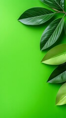 Green Leaves on Bright Lime Green Background