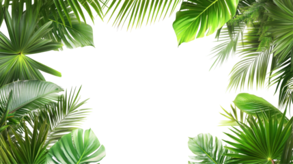 Lush green palm leaves frame nature scene png with transparent background tropical vibe bright environment