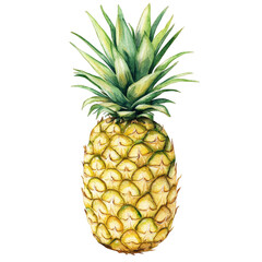 Fototapeta premium vibrant watercolor illustration of pineapple, showcasing its unique texture and colors, perfect for tropical themed designs