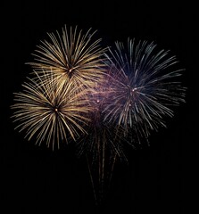 Colorful fireworks exploding in the night sky creating beautiful patterns