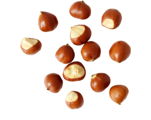 chestnuts isolated on white background