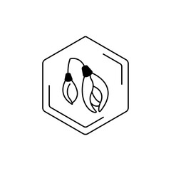 Minimalist floral line art in hexagonal frame. Acacia Vector black line pictogram. Floral themes, pollen, field honey in a minimalistic style.