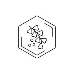 Herbal medicine icon with hexagonal frame. Meliltus, sweet clover Vector black line pictogram. Floral themes, pollen, field honey in a minimalistic style.