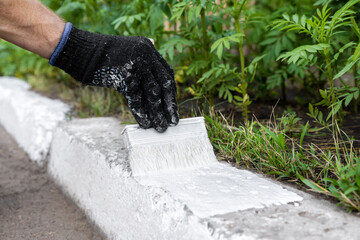 Worker paints a roadside curb white with a brush. Whitewashing concrete barriers. Repair work in a park.