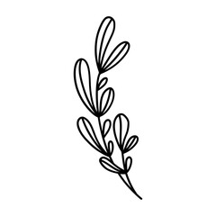 Elegant silhouettes of leaves, grass, branches create stunning visual effects for art projects.