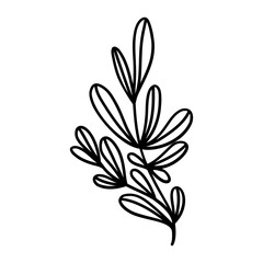 Elegant silhouettes of leaves, grass, branches create stunning visual effects for art projects.