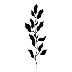 Elegant silhouettes of leaves, grass, branches create stunning visual effects for art projects.