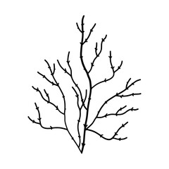 Elegant silhouettes of leaves, grass, branches create stunning visual effects for art projects.