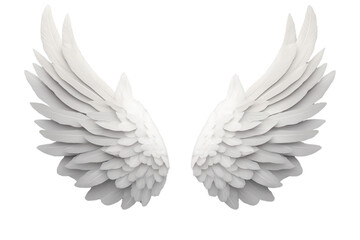 The wings of a white bird are shown in detail, with each feather visible