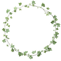 A green ivy wreath with leaves in a circle