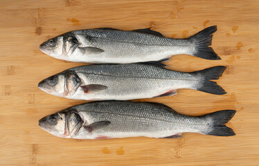 European seabass or Dicentrarchus labrax, whole raw labrax, branzino fish, European bass