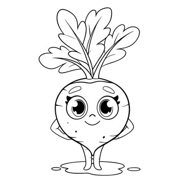 turnip
