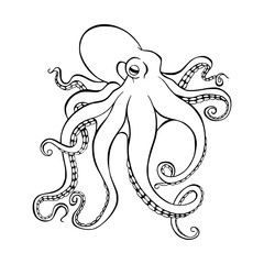 drawing of an octopus in outline style for coloring pages