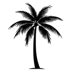 Obraz premium silhouette of palm trees