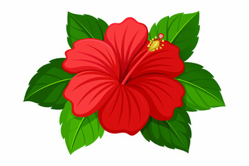 vibrant red hibiscus flower with lush green leaves