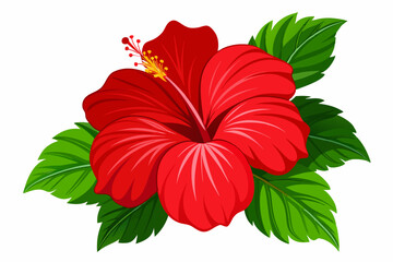 vibrant red hibiscus flower with lush green leaves