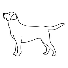 side view dog vector drawing