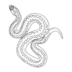 patterned python snake vector artwork