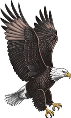 Obraz premium Bold American Eagle.