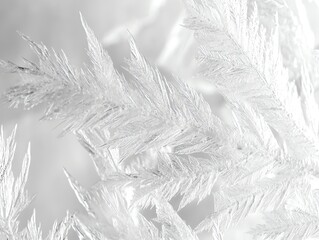 Close-up of Frost Crystals Forming Patterns on a Cold Winter Day
