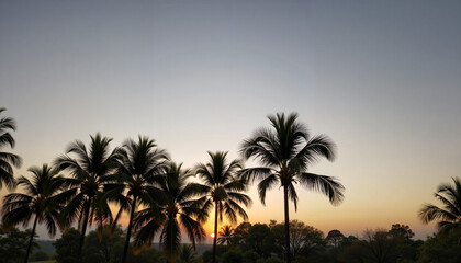 Fototapeta premium Silhouetted palm trees against sunset, tropical tranquility