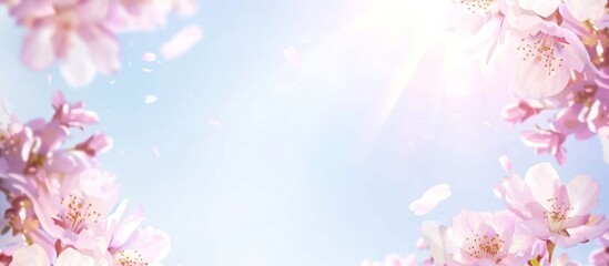 Fototapeta premium Pink cherry blossoms with a clear sky and sunlight, creating an elegant spring scene pastel color tone peaceful.