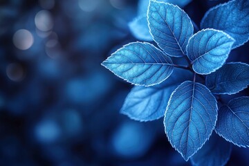 Blue Leaves Close Up on Stem, Outdoors, Nature Background, Moody Light