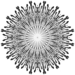 Obraz premium Dark Paint Brushes Round mandalas in vector.Abstract design element.Decorative retro ornament.Graphic template for your design.Hand Drawn Mandala.Radiant Peaceful Petals book.