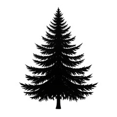 Obraz premium set of christmas trees