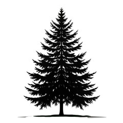 Obraz premium christmas tree isolated on white