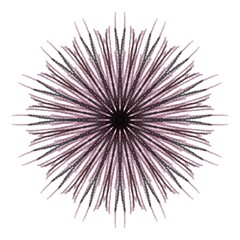 Obraz premium Dark Paint Brushes Round mandalas in vector.Abstract design element.Decorative retro ornament.Graphic template for your design.Hand Drawn Mandala.Radiant Peaceful Petals book.