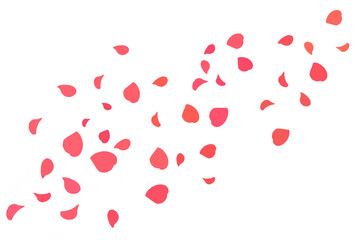 風に舞うバラの花びらのイラスト素材　赤