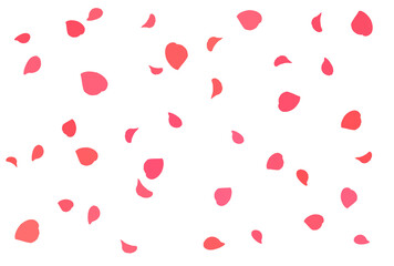 舞い落ちるバラの花びらのイラスト素材　赤
