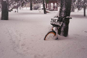 bench in the snow