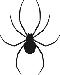 spider on a white background