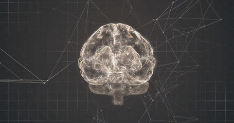 Image of digital brain spinning over network of connections