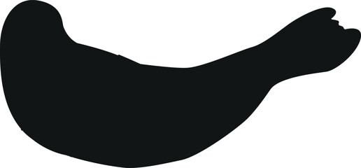 Black monk seal arctic animal