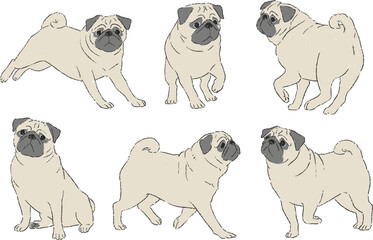 様々なポーズのパグの手書きイラストセット