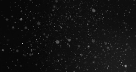 Image of light spots and snowflakes moving on black background