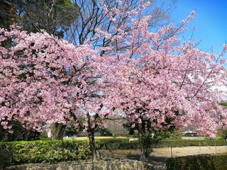 "Nagoya" is written in Japanese. Nagoya, Aichi Prefecture, Japan, is famous for tourist spots such as Toyota's headquarters, Nagoya Castle, and the Antarctic research vessel Fuji.