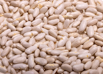 raw white pearl kidney beans