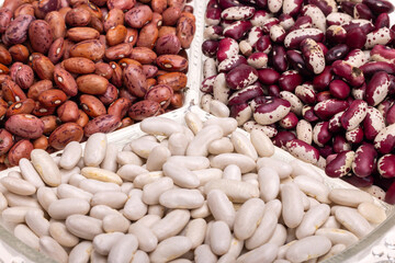 three species of beans on a glass plate