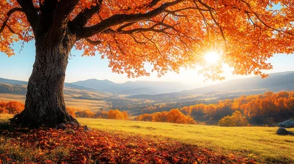 Selbstklebende Fototapeten Golden Autumn Landscape - Scenic Fall Foliage with Rolling Hills & Warm Sunlight, nature photography, seasonal promotions, travel blogs, fall tourism campaigns, mindfulness content, and landscape cale © gd-house