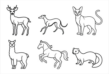 A set of six random animal vector line art designs. Simple collection. Isolated bundle on white background.