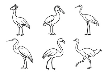 A set of six bird vector line art designs. Simple collection. Isolated bundle on white background. © Mehsan